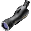 Зрительная труба Leupold SX-1 Ventana 2 15-45x60mm Angled Gray/Black